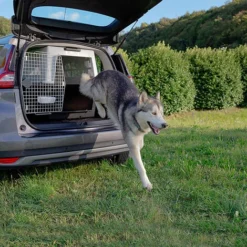 Ferplast ATLAS 70 Transport Pour Chiens De Grande Taille. Variante ATLAS 70 - Mesures: 68.5 X 101 X H 75.5 Cm - Gris 9 Ferplast ATLAS 70 Transport Pour Chiens De Grande Taille. Variante ATLAS 70 - Mesures: 68.5 X 101 X H 75.5 Cm - Gris -Promos Patto Chou Boutique 12572515 5