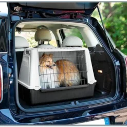 Ferplast ATLAS CAR Transport Pour Chiens Pour Des Voyages En Voiture. Différentes Tailles.. Variante MINI - Mesures: 72 X 41 X H 51 Cm - Gris -Promos Patto Chou Boutique 12573250 4