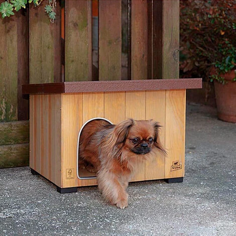 Ferplast BAITA Niche Pour Chiens En Bois De Pin Nordique FSC - 5 Tailles. Variante BAITA 50 - Mesures: 56 X 46.5 X H 41.5 Cm - 4 Ferplast BAITA Niche Pour Chiens En Bois De Pin Nordique FSC - 5 Tailles. Variante BAITA 50 - Mesures: 56 X 46.5 X H 41.5 Cm - – Image 4