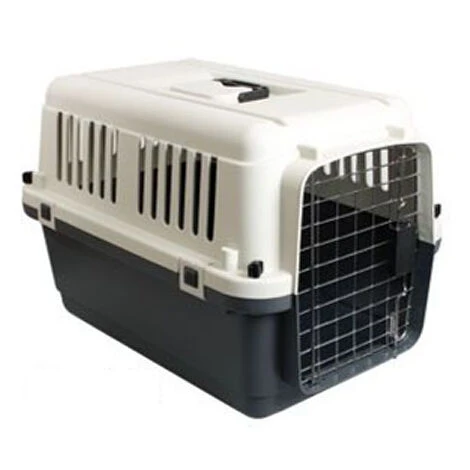 Cage De Transport Kennel Box Pour Chien Ou Chat (Modèle Avion) Désignation : Kennel Box Type : T1 Taille : Kennel Box MORIN 900065 1 Cage De Transport Kennel Box Pour Chien Ou Chat (Modèle Avion) Désignation : Kennel Box Type : T1 Taille : Kennel Box MORIN 900065