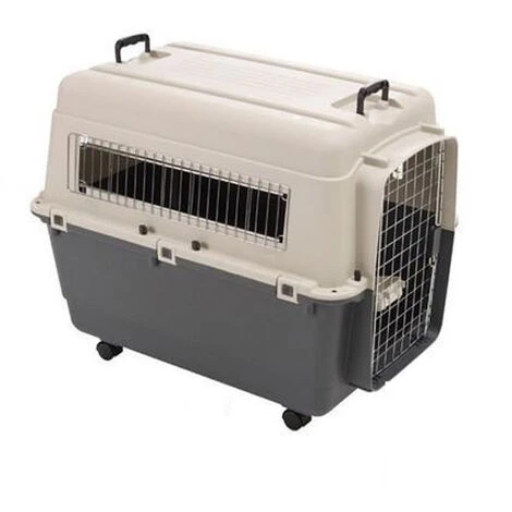 Cage De Transport Kennel Box Pour Chien Ou Chat (Modèle Avion) Désignation : Kennel Box Type : T4 Taille : Kennel Box MORIN 900063 1 Cage De Transport Kennel Box Pour Chien Ou Chat (Modèle Avion) Désignation : Kennel Box Type : T4 Taille : Kennel Box MORIN 900063
