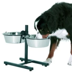 Support Double Gamelle Pour Chiens Désignation : Support T1 Type : Avec 2 Gamelles MORIN 153-183