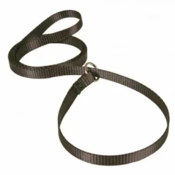 Laisse Lasso Noire En Nylon Pour Chien