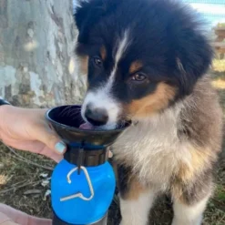 DOGWATER : Bouteille Abreuvoir Pour Chiens -Promos Patto Chou Boutique 20896578 4