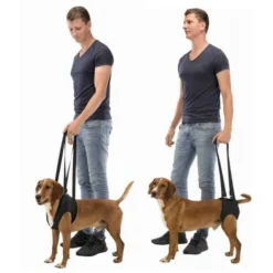 Harnais D’aide à La Marche Désignation : Harnais D&039aide à La Marche Taille : L - XL Trixie 19408