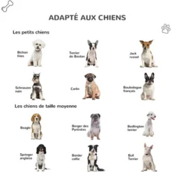 PawHut Niche Chien Style Cottage Dim. 91L X 69l X 66H Cm Petite Porte Grillagée + Grande Porte Latérale Verrouillable PP Blanc Gris Noir -Promos Patto Chou Boutique 34739120 4