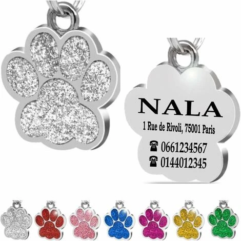 Patte En Acier Plaque Médaillon D’Identification Personnalisé Pour Collier Chien Chat Animaux De Compagnie Gravée (Vert) 3 Patte En Acier Plaque Médaillon D’Identification Personnalisé Pour Collier Chien Chat Animaux De Compagnie Gravée (Vert) – Image 3