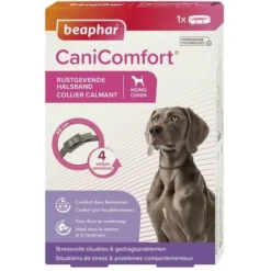 BEAPHAR Canicomfort, Collier Calmant Pour Chiens, Aux Phéromones - 65 Cm
