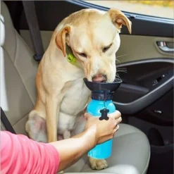Gourde Avec écuelle Intégrée De 600 Ml Macaron - Pour Chien - Idéale Pour Voyage En Voiture Bleu 9 Gourde Avec écuelle Intégrée De 600 Ml Macaron - Pour Chien - Idéale Pour Voyage En Voiture Bleu -Promos Patto Chou Boutique 42741131 5