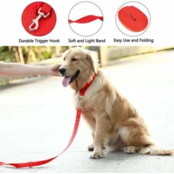 Laisse De Dressage Pour Chien (10m Rouge) Longue Sangle En Nylon Mains Libre Pour Chiens Chats Animal De Compagnie Promenade Arrimage Jogging -Versailles -Promos Patto Chou Boutique 46050545 5