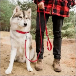 Collier Pour Chien, Réglable, En Nylon, Pour Petits Et Grands Chiens, Chiots Et Chats, Disponible En Plusieurs Couleurs Et Tailles, Rouge,S, Irisfr -Promos Patto Chou Boutique 47379963 4