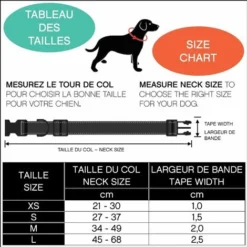 Collier Pour Chien, Réglable, En Nylon, Pour Petits Et Grands Chiens, Chiots Et Chats, Disponible En Plusieurs Couleurs Et Tailles, Rouge,S, Irisfr -Promos Patto Chou Boutique 47379963 5