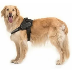 Harnais Anti-traction Pour Chien Avec à Personnaliser Pour éviter Les Tiraillements Et Les étouffements Pour L'entraînement Et La Marche Fontainebleau -Promos Patto Chou Boutique 48635842 4