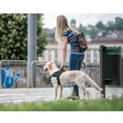 Harnais Anti-traction Pour Chien Avec à Personnaliser Pour éviter Les Tiraillements Et Les étouffements Pour L'entraînement Et La Marche Fontainebleau -Promos Patto Chou Boutique 48635842 5