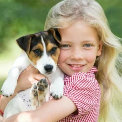 Niche Chien En Bois Moderne De Haute Qualite BELLA 223 Taille XL 97 X 111 X 108 Cm -Promos Patto Chou Boutique 49700297 4