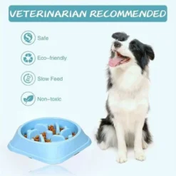 Gamelle Pour Chien Gamelle D'alimentation Lente Bol Pour Chien Animaux De Compagnie En Plastique épaissi Anti-étouffement Bleu Clair