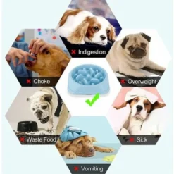 Gamelle Pour Chien Gamelle D'alimentation Lente Bol Pour Chien Animaux De Compagnie En Plastique épaissi Anti-étouffement Bleu Clair -Promos Patto Chou Boutique 53040990 4