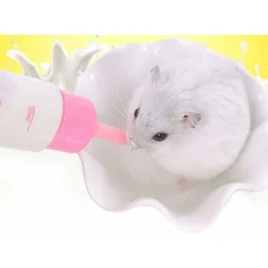 Biberon Pet-Pet Pet Bottle Hamster Chiot écureuil Chatons Allaitement Biberon Eau Lait Feeder 30ml Hamster Lapin Chinchilla Buveur Biberon 4pcs -Macaron 9 Biberon Pet-Pet Pet Bottle Hamster Chiot écureuil Chatons Allaitement Biberon Eau Lait Feeder 30ml Hamster Lapin Chinchilla Buveur Biberon 4pcs -Macaron -Promos Patto Chou Boutique 55916060 5