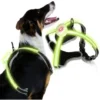 Randaco Harnais Pour Chien LED Réglable Harnais Pour Chiot Respirant Harnais Pour Chien S