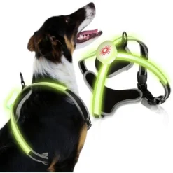 Randaco Harnais Pour Chien LED Réglable Harnais Pour Chiot Respirant Harnais Pour Chien S