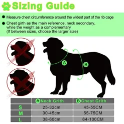 Randaco Harnais Pour Chien LED Réglable Harnais Pour Chiot Respirant Harnais Pour Chien S -Promos Patto Chou Boutique 56395636 3