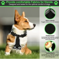 Randaco Harnais Pour Chien LED Réglable Harnais Pour Chiot Respirant Harnais Pour Chien S -Promos Patto Chou Boutique 56395636 4