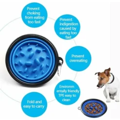 LTS FAFA Lot De 2 Bols Anti-fronde Pour Chien Diamètre 17,5 Cm Bol Interactif Pliable En Silicone Pour Chien Bol Alimentaire Non Toxique Et Sain (bleu, Vert) 7 LTS FAFA Lot De 2 Bols Anti-fronde Pour Chien Diamètre 17,5 Cm Bol Interactif Pliable En Silicone Pour Chien Bol Alimentaire Non Toxique Et Sain (bleu, Vert) -Promos Patto Chou Boutique 56640411 3