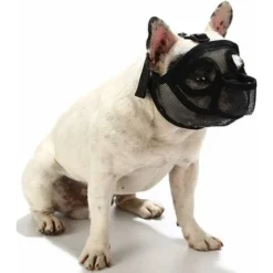 Court Museau Chien Muzzle- Réglable Respirant En Maille Muselière Bulldog Pour Piqûres D'Chewing Aboiements Chien Masque