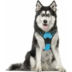 Ensoleillé Harnais Chien XL Arnais Bleu Clair Anti Traction Réfléchissant Gilet Réglable Pour Chien Grand Taille, Attache Devant Crochet De Laisse Pour Trajet Voiture, American Staff, Border Collier