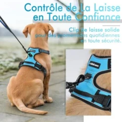 Ensoleillé Harnais Chien XL Arnais Bleu Clair Anti Traction Réfléchissant Gilet Réglable Pour Chien Grand Taille, Attache Devant Crochet De Laisse Pour Trajet Voiture, American Staff, Border Collier -Promos Patto Chou Boutique 57794140 5