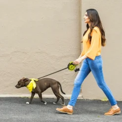 Pecute Laisse Chien Enrouleur 5m, Jusqu'à 50Kg, Laisses Rétractables Pour Chiens, Avec Un Boutton S'arrêter Bloquer, Ruban En Nylon Avec Coutures Réfléchissantes, Pour Petit, Moyen Et Grand Chiens -Promos Patto Chou Boutique 58114986 5