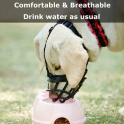 Muselière Pour Chien, Museau De Chien Avec Bandeau Respirant En Maille Et Nylon Résistant,Mieux Prévenir Les Morsures, Mâcher Et Aboyer Museau,pour Petits,Moyens Et Grands Chiens (L) -Promos Patto Chou Boutique 58752598 4