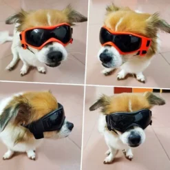 Lunettes De Protection Pour Chien - Anti-UV - Protection Des Yeux Pour Chiens De Petite Et Moyenne Taille 8 Lunettes De Protection Pour Chien - Anti-UV - Protection Des Yeux Pour Chiens De Petite Et Moyenne Taille -Promos Patto Chou Boutique 59447879 4