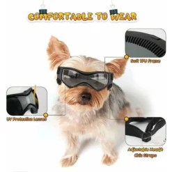 Lunettes De Protection Pour Chien - Anti-UV - Protection Des Yeux Pour Chiens De Petite Et Moyenne Taille 9 Lunettes De Protection Pour Chien - Anti-UV - Protection Des Yeux Pour Chiens De Petite Et Moyenne Taille -Promos Patto Chou Boutique 59447879 5