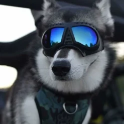 Lunettes De Soleil Pour Chien, Protection Des Yeux Pour Animal Domestique, Protection UV, Coupe-vent, Lunettes Pour Chien, Cosplay, Accessoires Photo Pour Chiens De Petite Et Moyenne Taille