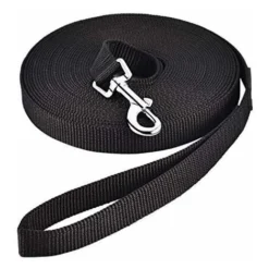 Laisse Pour Chien (10m Noir), Laisse De Dressage Chien Avec Poignée Longe Chien Longue Sangle En Nylon Mains Libre Pour Petits à Grands Chiens Animal De Compagnie Promenade Jogging
