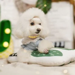 Lot De 12 Collier Chiot Naissance, Colliers D'identification Pour Chiots ,Collier Chaton Chiot Réglable Collier D'identification De Chiot Pour Animal De Compagnie (12 Couleurs,6.5-10.5cm)——VEBTles 9 Lot De 12 Collier Chiot Naissance, Colliers D'identification Pour Chiots ,Collier Chaton Chiot Réglable Collier D'identification De Chiot Pour Animal De Compagnie (12 Couleurs,6.5-10.5cm)——VEBTles -Promos Patto Chou Boutique 59735682 5