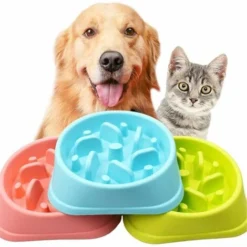 MINKUROW Gamelle D'alimentation Lente Anti Ballonnements Pour Petits, Moyens Grands Chiens Et Chats, Gamelle Anti-Glouton Gamelle Interactif Pour Chien Chat Gamelle Evite Manger Vite(Bleu) -Promos Patto Chou Boutique 60015865 3