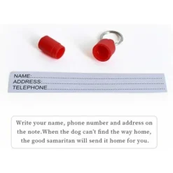 Médaille D'identification Pour Animal Domestique Pour Chat, Petit Chien, Chiot, En Forme De Capsule -Promos Patto Chou Boutique 61271993 3