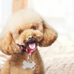 Medaille Chien, Étiquettes De Chien, Sculpture De Bricolage Médaille D'identification Pour Chat Et Chien, Étiquettes Didentification Personnalisées -Promos Patto Chou Boutique 63577548 5