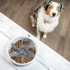 Gamelle Anti Glouton Pour Chien Insérer, Gamelle D‘Alimentation Lente Pour Chiens Accessoires Favorise Une Alimentation Saine Et Digestion Iente Pour Chien Chat Avec 19 Base Ventouses (Style B),gris，F -Promos Patto Chou Boutique 64087280 5