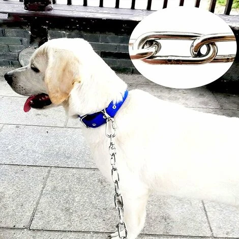 Laisse Pour Chien En Métal - Robuste - Pour Chiens De Grande Taille Moyenne - 4 Mm - 4 M 2 Laisse Pour Chien En Métal - Robuste - Pour Chiens De Grande Taille Moyenne - 4 Mm - 4 M – Image 2