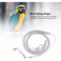 Laisse D'oiseau, Harnais De Perroquet De 6 M Laisse Perroquet Harnais D'oiseaux Anti-morsure Corde D'entraînement En Plein Air Pour Petits Oiseaux Et Perroquets (couleur Aléatoire)[6.5MM+6M]Harnais -Promos Patto Chou Boutique 65298137 3
