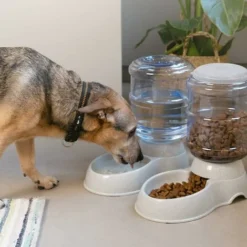 2X Distributeur De Nourriture Et D'Eau - Accessoire Pour Chat Et Chien - 2X Gamelle Automatique - Pour Chat Chien Lapin - Capacité 3.8L 7 2X Distributeur De Nourriture Et D'Eau - Accessoire Pour Chat Et Chien - 2X Gamelle Automatique - Pour Chat Chien Lapin - Capacité 3.8L -Promos Patto Chou Boutique 65503691 3