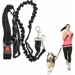 Laisse Mains Libres Pour Chien, Course à Pied, Absorbant Les Chocs, Extensible - Ceinture Réglable - Pour Courir, Faire Du Jogging Ou Marcher