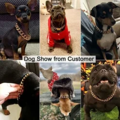 Collier Doré Pour Chien Avec Boucle De Sécurité, Collier à Maillons En Acier Inoxydable à Mâcher Très Résistant (doré, 20) -Promos Patto Chou Boutique 67637620 5