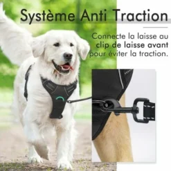 GP Harnais Chien Anti Traction, Pour Chien Facile à Mettre Harnais Réfléchissant Réglable Avec Attache Devant Harnais Pour Chien Moyen, Large, Couleur Noir -Promos Patto Chou Boutique 69013345 4