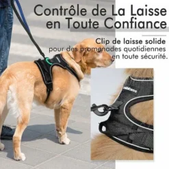 GP Harnais Chien Anti Traction, Pour Chien Facile à Mettre Harnais Réfléchissant Réglable Avec Attache Devant Harnais Pour Chien Moyen, Large, Couleur Noir -Promos Patto Chou Boutique 69013345 5