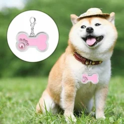 Étiquettes D'identification Pour Animaux Étiquettes De Chien Personnalisées Étiquettes De Chat En Alliage Chien Os En Forme De Blanc Étiquettes Charme Charme Pendentif D'identification(rose) -Promos Patto Chou Boutique 71052471 3