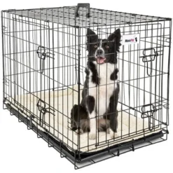 Cage Pour Chien - Course De Chiot - Modulaire - 107x71x76cm - Noir - MaxxPet.